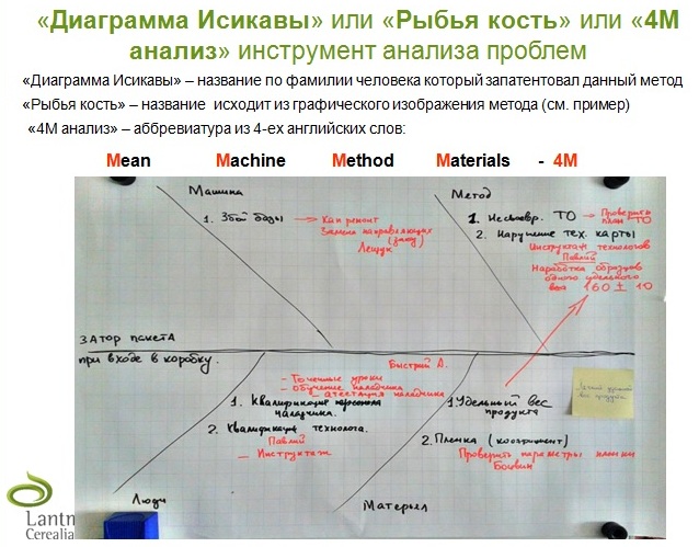 Пример применения метода Рыбья кость