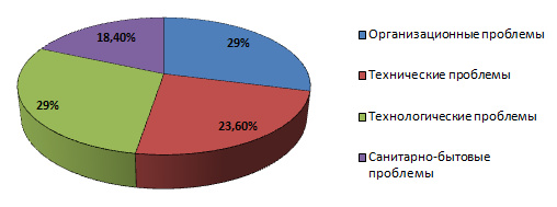 Диаграмма процентного соотношения проблем