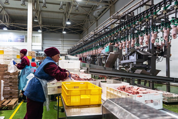 Птицефабрика «Рефтинская»